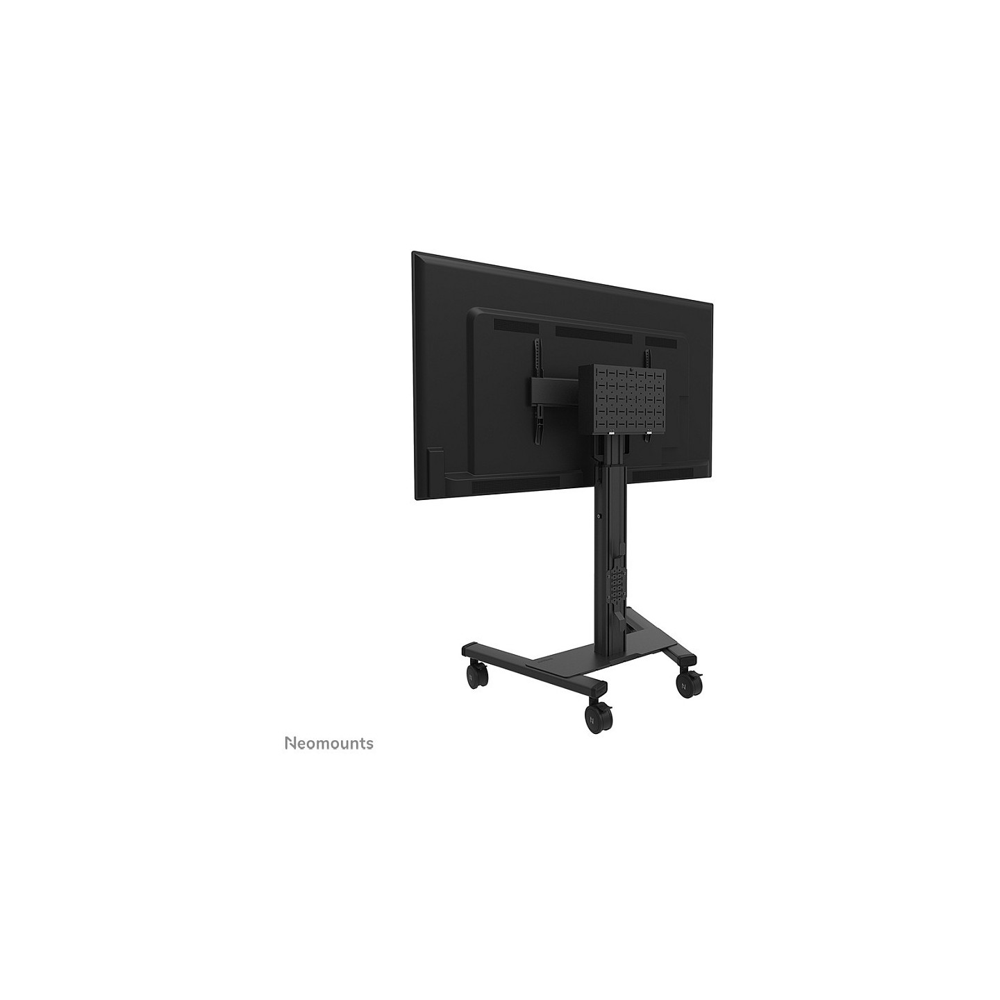 Neomounts FL50S-825BL1 Bodenständer für 37-75' Bildschirme - Schwarz — Buy in Cyprus with Fast Delivery