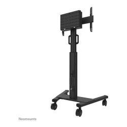 Neomounts FL50S-825BL1 Bodenständer für 37-75' Bildschirme - Schwarz — Buy in Cyprus with Fast Delivery