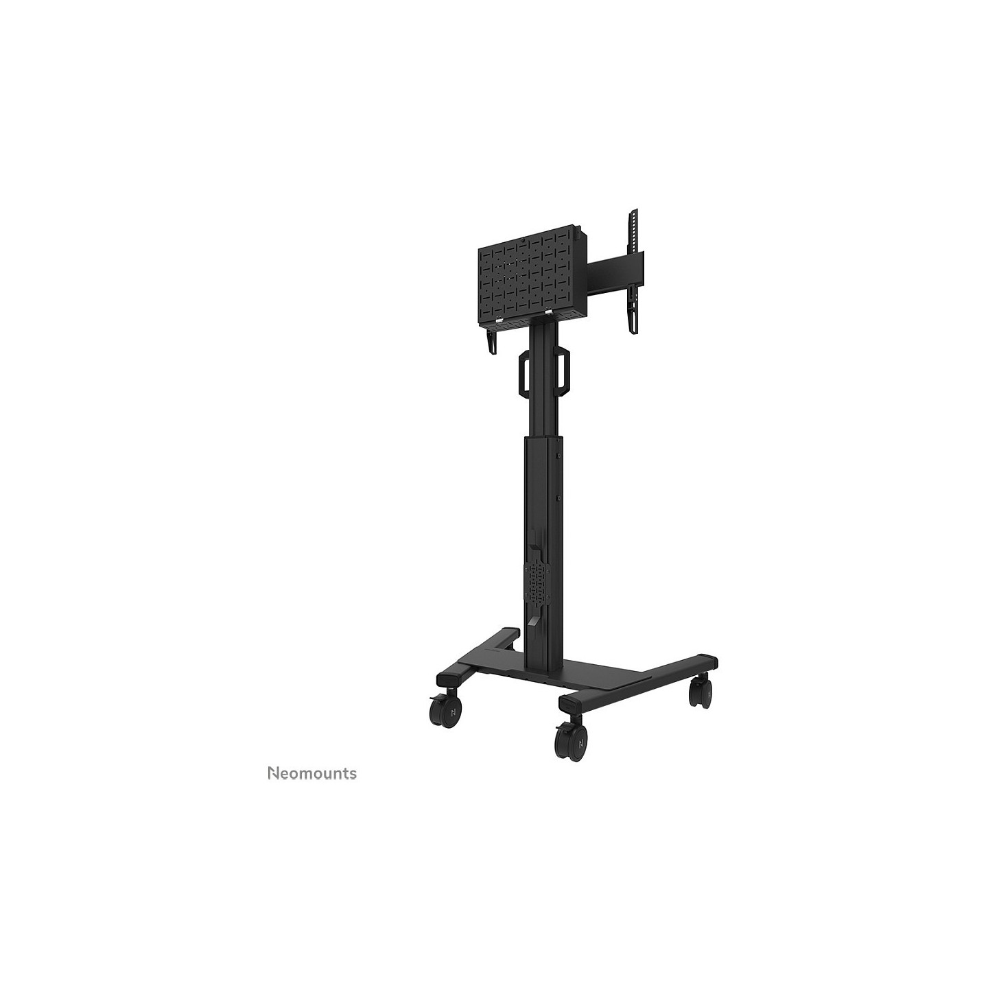 Neomounts FL50S-825BL1 Bodenständer für 37-75' Bildschirme - Schwarz — Buy in Cyprus with Fast Delivery