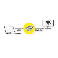 ROLINE DISPLAY ADAPTER.FLEX..TYPC-DP — Buy in Cyprus with Fast Delivery