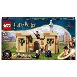 LEGO Harry Potter Hogwarts Erste Flugstunde 76395 — Buy in Cyprus with Fast Delivery