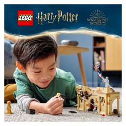 LEGO Harry Potter Hogwarts Erste Flugstunde 76395 — Buy in Cyprus with Fast Delivery