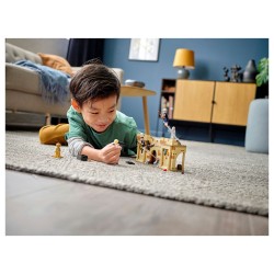 LEGO Harry Potter Hogwarts Erste Flugstunde 76395 — Buy in Cyprus with Fast Delivery