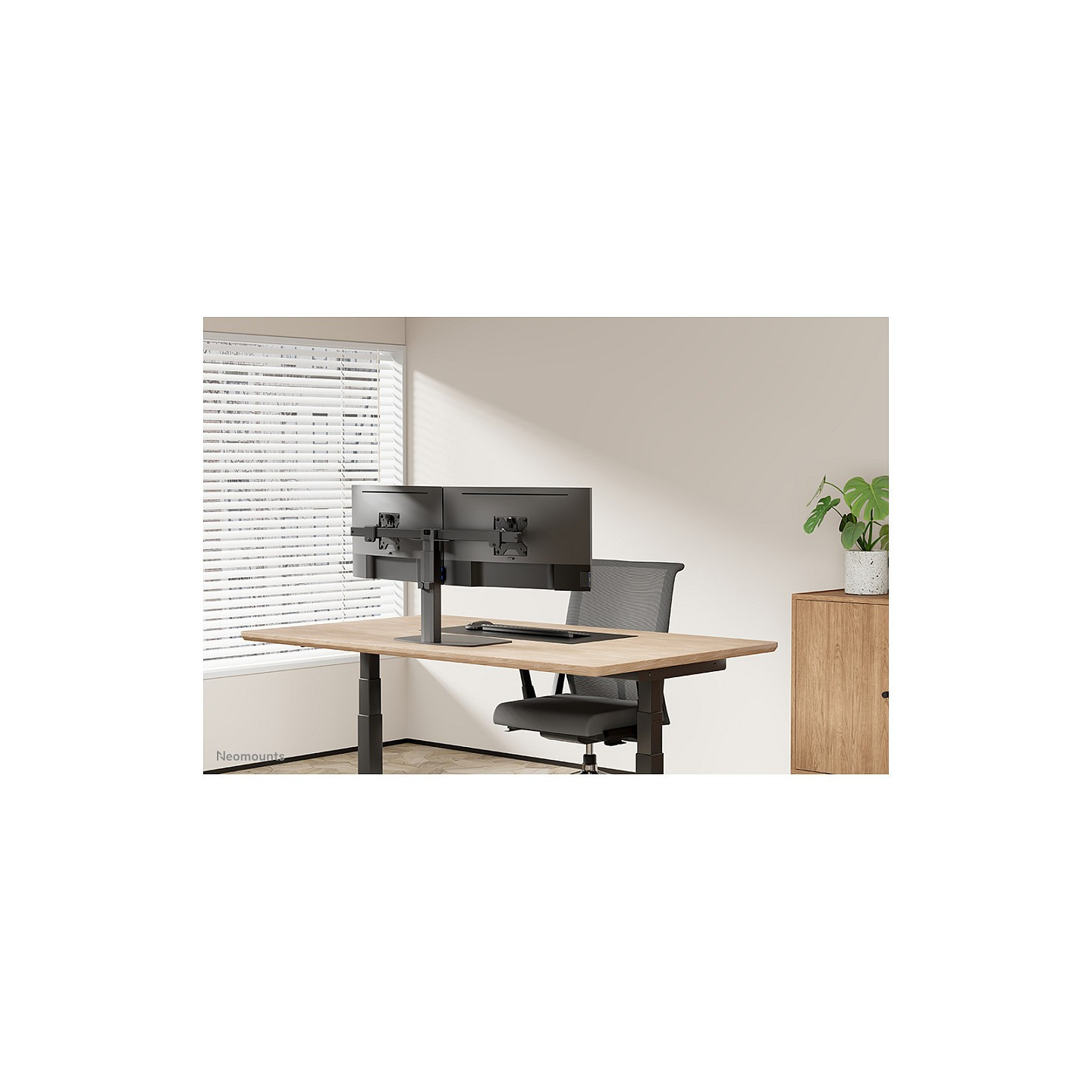 Neomounts FPMA-D865DBLACK Tischhalterung für zwei Flachbildschirme bis 27' (69 cm) — Buy in Cyprus with Fast Delivery