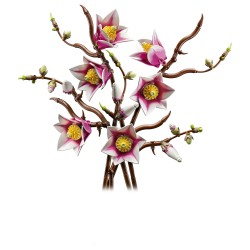 LEGO 11510 Botanicals Magnolienzweige — Buy in Cyprus with Fast Delivery