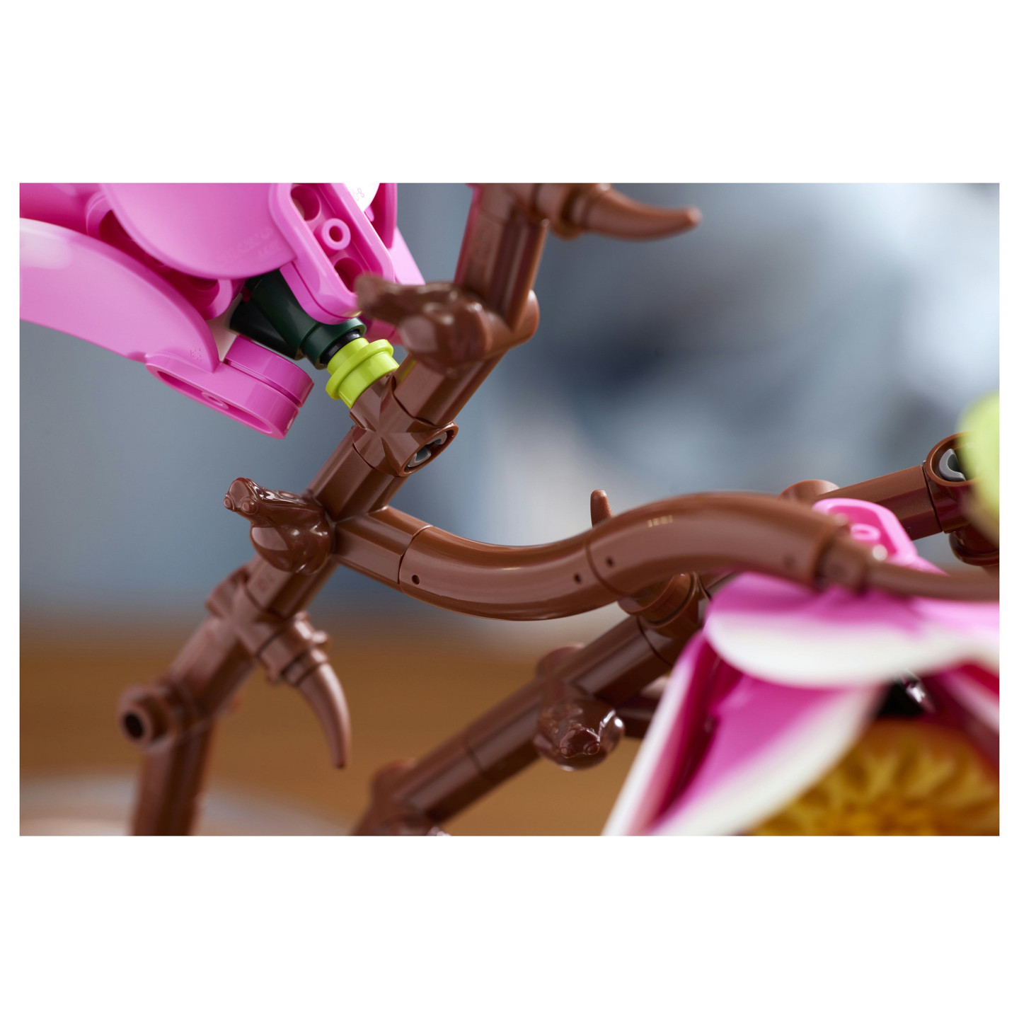 LEGO 11510 Botanicals Magnolienzweige — Buy in Cyprus with Fast Delivery