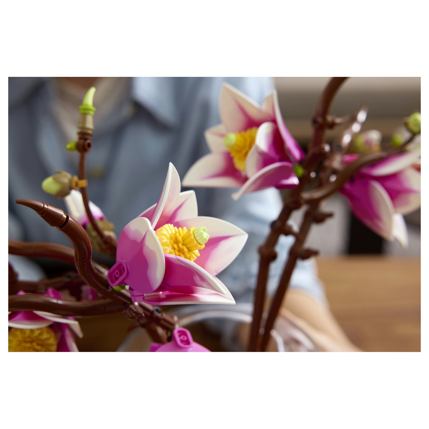 LEGO 11510 Botanicals Magnolienzweige — Buy in Cyprus with Fast Delivery