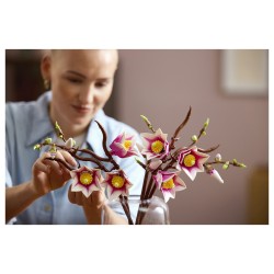 LEGO 11510 Botanicals Magnolienzweige — Buy in Cyprus with Fast Delivery