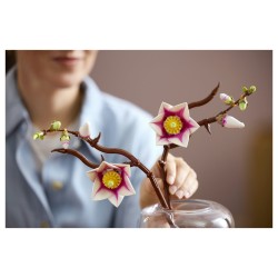 LEGO 11510 Botanicals Magnolienzweige — Buy in Cyprus with Fast Delivery