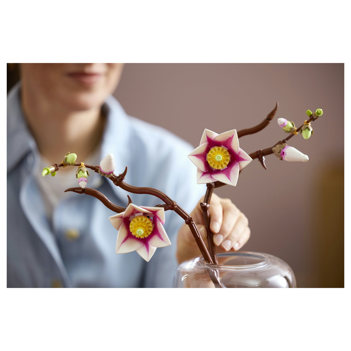 LEGO 11510 Botanicals Magnolienzweige — Buy in Cyprus with Fast Delivery