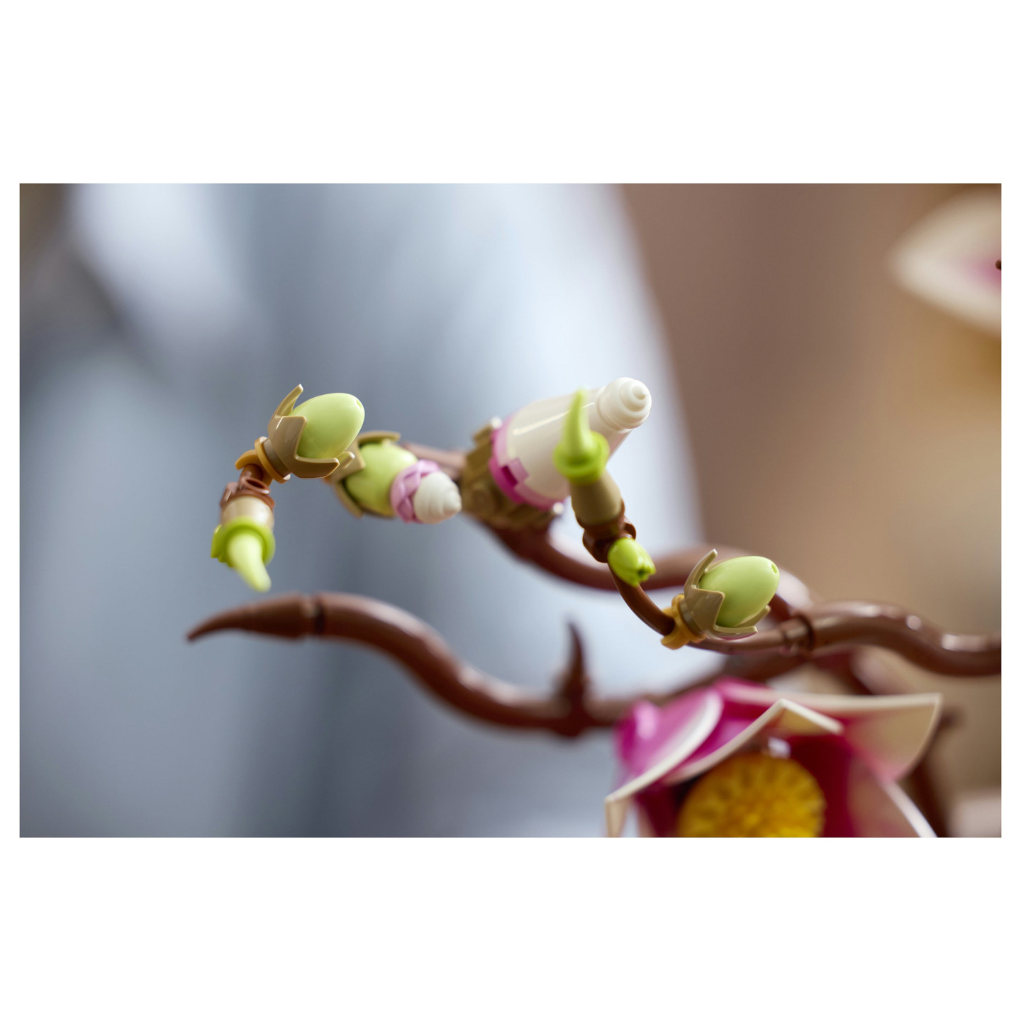 LEGO 11510 Botanicals Magnolienzweige — Buy in Cyprus with Fast Delivery