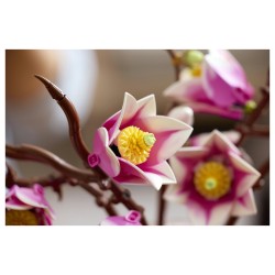 LEGO 11510 Botanicals Magnolienzweige — Buy in Cyprus with Fast Delivery