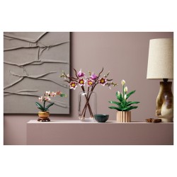 LEGO 11510 Botanicals Magnolienzweige — Buy in Cyprus with Fast Delivery