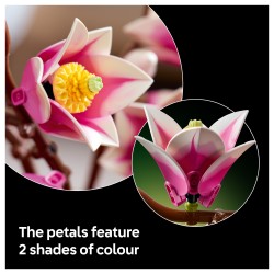 LEGO 11510 Botanicals Magnolienzweige — Buy in Cyprus with Fast Delivery