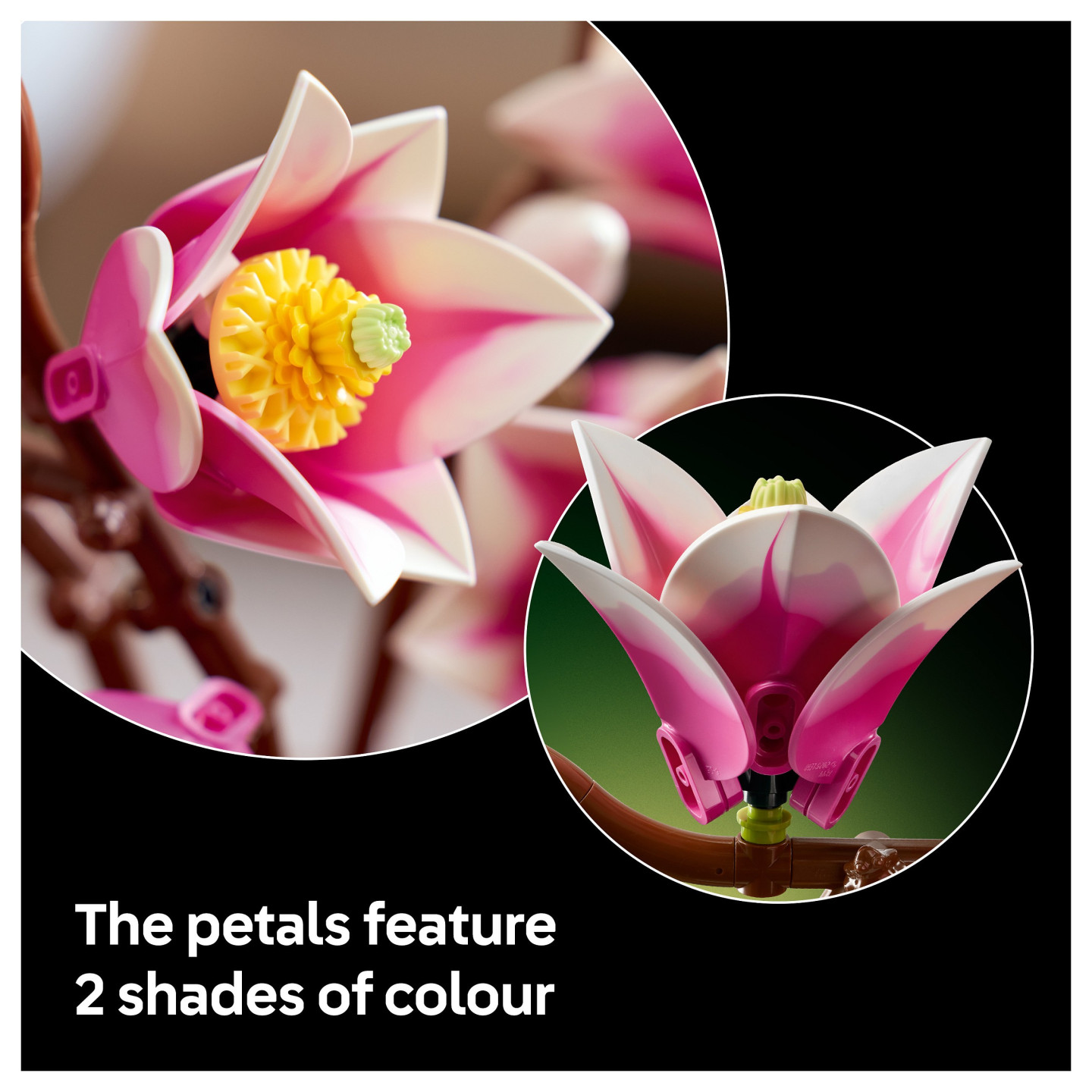 LEGO 11510 Botanicals Magnolienzweige — Buy in Cyprus with Fast Delivery