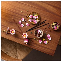 LEGO 11510 Botanicals Magnolienzweige — Buy in Cyprus with Fast Delivery