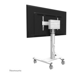 Neomounts FL50S-825WH1 mobiler Bodenständer für 37-75' Bildschirme - Weiß — Buy in Cyprus with Fast Delivery