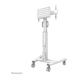 Neomounts FL50S-825WH1 mobiler Bodenständer für 37-75' Bildschirme - Weiß — Buy in Cyprus with Fast Delivery