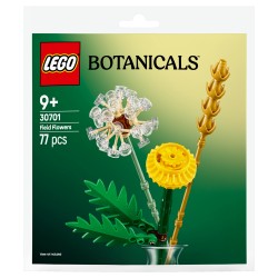 LEGO 30701 Botanicals Feldblumen — Buy in Cyprus with Fast Delivery