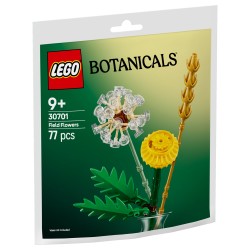 LEGO 30701 Botanicals Feldblumen — Buy in Cyprus with Fast Delivery