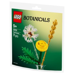 LEGO 30701 Botanicals Feldblumen — Buy in Cyprus with Fast Delivery