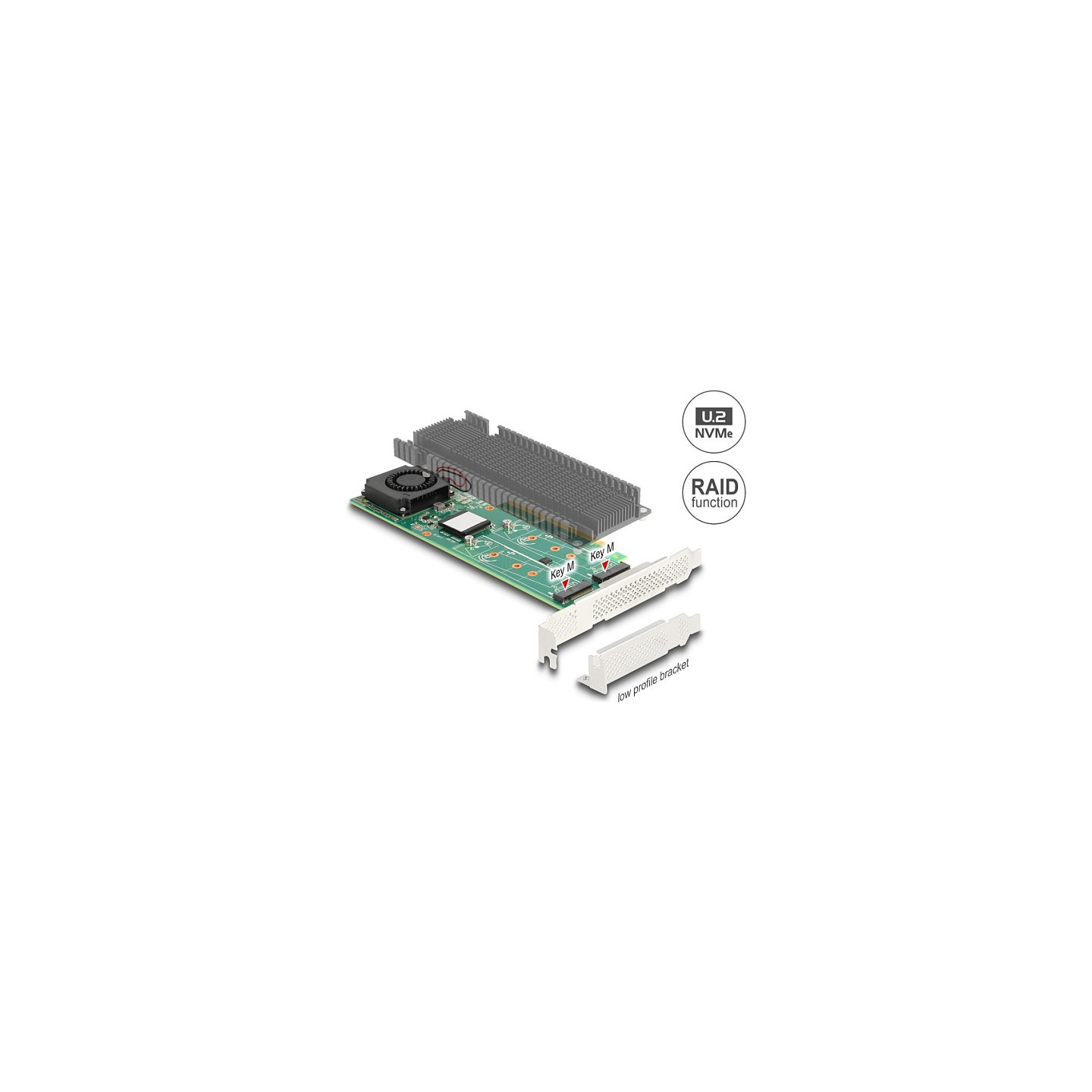 PCI Express x8 Karte zu 2 x intern NVMe M.2 Key M mit RAID - Low Profile Formfaktor — Buy in Cyprus with Fast Delivery