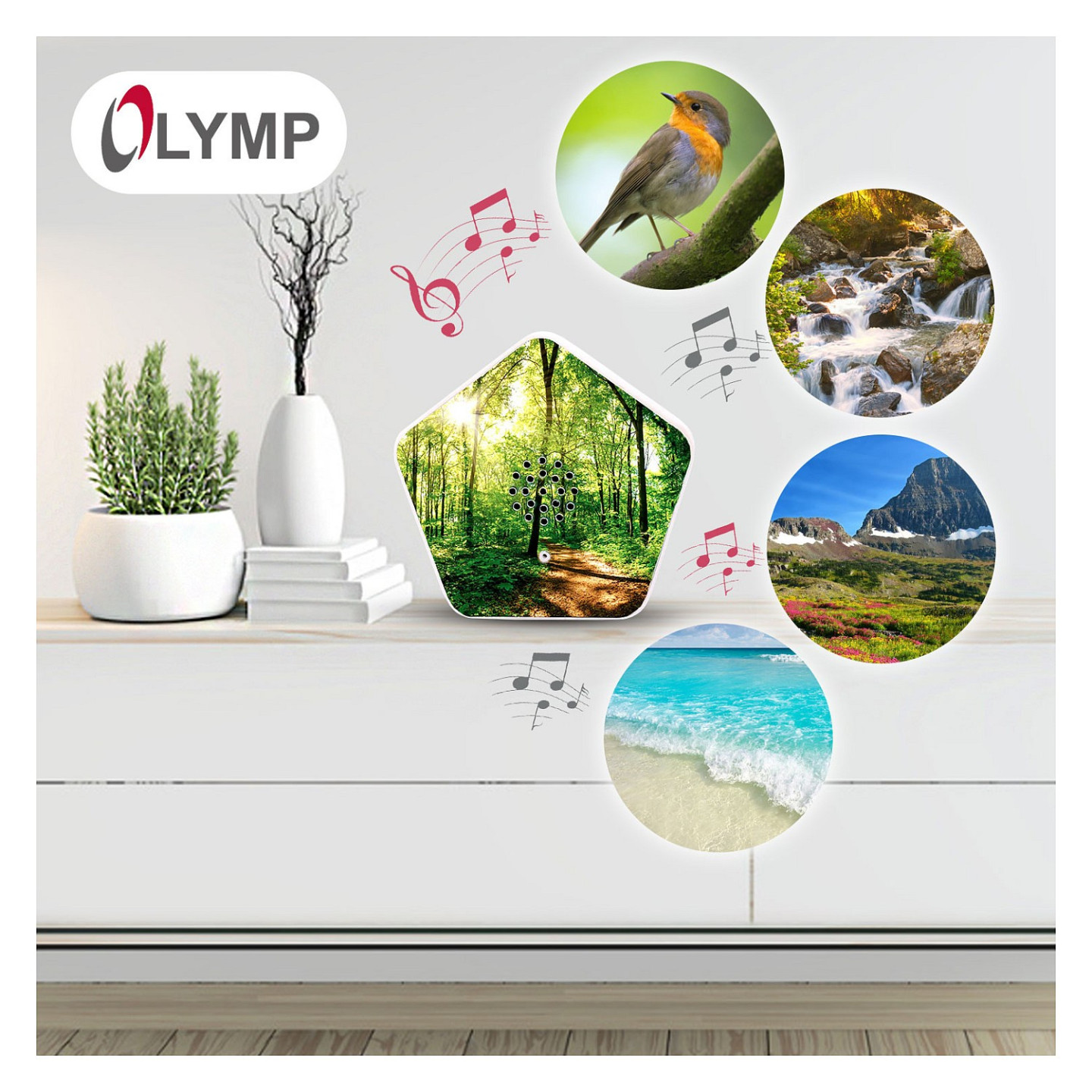 Olympia Sound of Nature Box 1 Stk. — Buy in Cyprus with Fast Delivery