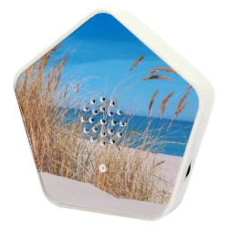 Olympia Sound of Nature Box 1 Stk. — Buy in Cyprus with Fast Delivery