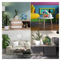 Olympia Sound of Nature Box 1 Stk. — Buy in Cyprus with Fast Delivery
