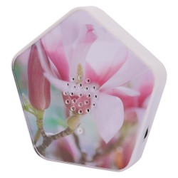 Olympia Sound of Nature Box 1 Stk. — Buy in Cyprus with Fast Delivery