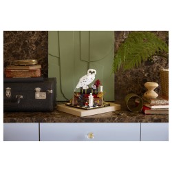 LEGO 76466 Harry Potter Stein der Weisen - Sammleredition — Buy in Cyprus with Fast Delivery