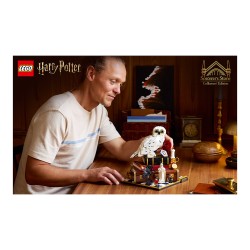LEGO 76466 Harry Potter Stein der Weisen - Sammleredition — Buy in Cyprus with Fast Delivery