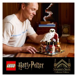 LEGO 76466 Harry Potter Stein der Weisen - Sammleredition — Buy in Cyprus with Fast Delivery