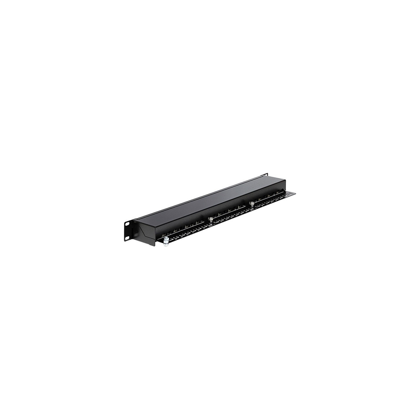 Delock 19? Patchpanel 24 Port Cat.6 schwarz — Buy in Cyprus with Fast Delivery