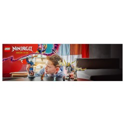 LEGO 71843 Ninjago Rogues Mech-Drachenreiter — Buy in Cyprus with Fast Delivery