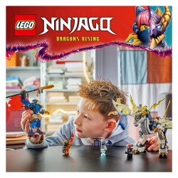 LEGO 71843 Ninjago Rogues Mech-Drachenreiter — Buy in Cyprus with Fast Delivery