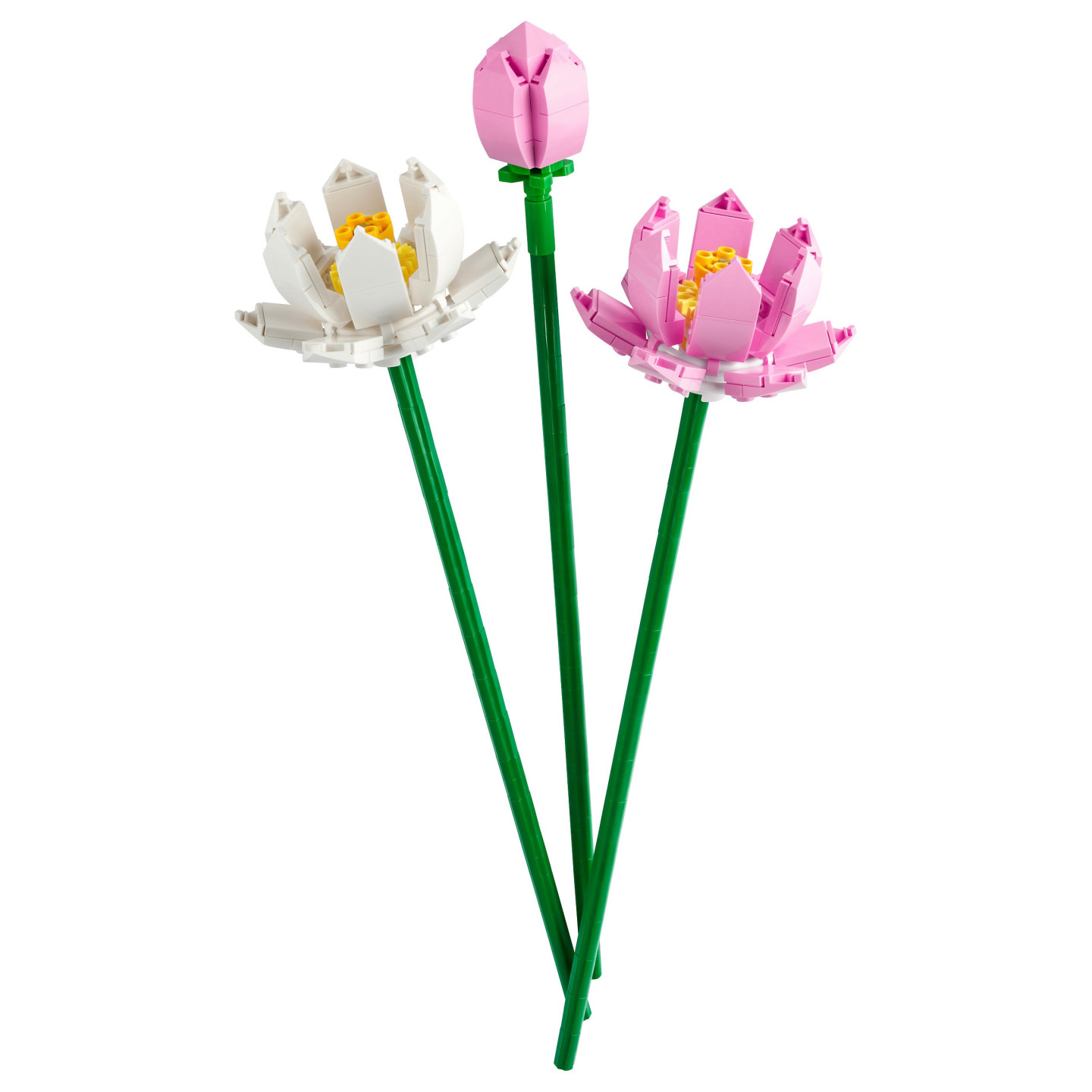 LEGO Botanical Collection Lotusblumen — Buy in Cyprus with Fast Delivery