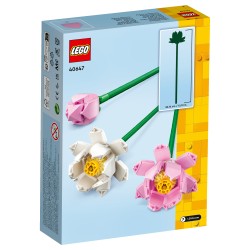 LEGO Botanical Collection Lotusblumen — Buy in Cyprus with Fast Delivery