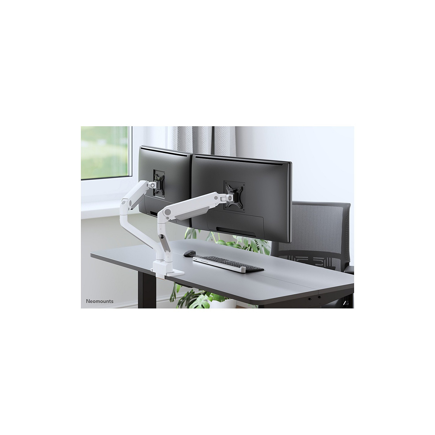 Neomounts DS70S-950WH2 vollbewegliche Tischhalterung für 17-35' Bildschirme - Weiß — Buy in Cyprus with Fast Delivery