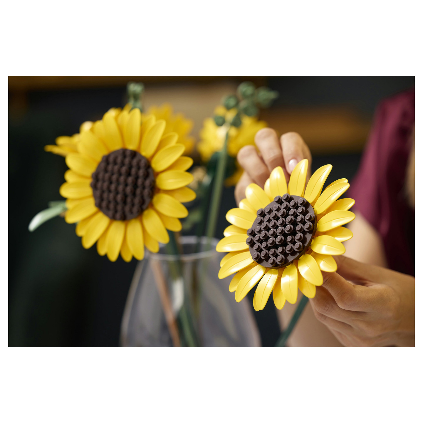 LEGO 11502 Botanicals Sonnenblumen — Buy in Cyprus with Fast Delivery