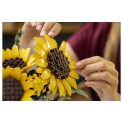 LEGO 11502 Botanicals Sonnenblumen — Buy in Cyprus with Fast Delivery