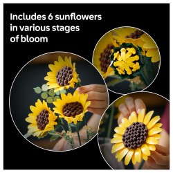 LEGO 11502 Botanicals Sonnenblumen — Buy in Cyprus with Fast Delivery