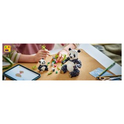 LEGO Creator Wilde Tiere: Pandafamilie 31165 — Buy in Cyprus with Fast Delivery