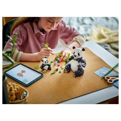 LEGO Creator Wilde Tiere: Pandafamilie 31165 — Buy in Cyprus with Fast Delivery