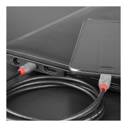 LINDY USB 2.0 Kabel Typ C Micro-B Anthra Line M M 0.5m — Buy in Cyprus with Fast Delivery