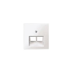MERTEN 296119 Zentralplatte 2xUAE-Einsatz pws SYSTEM M — Buy in Cyprus with Fast Delivery