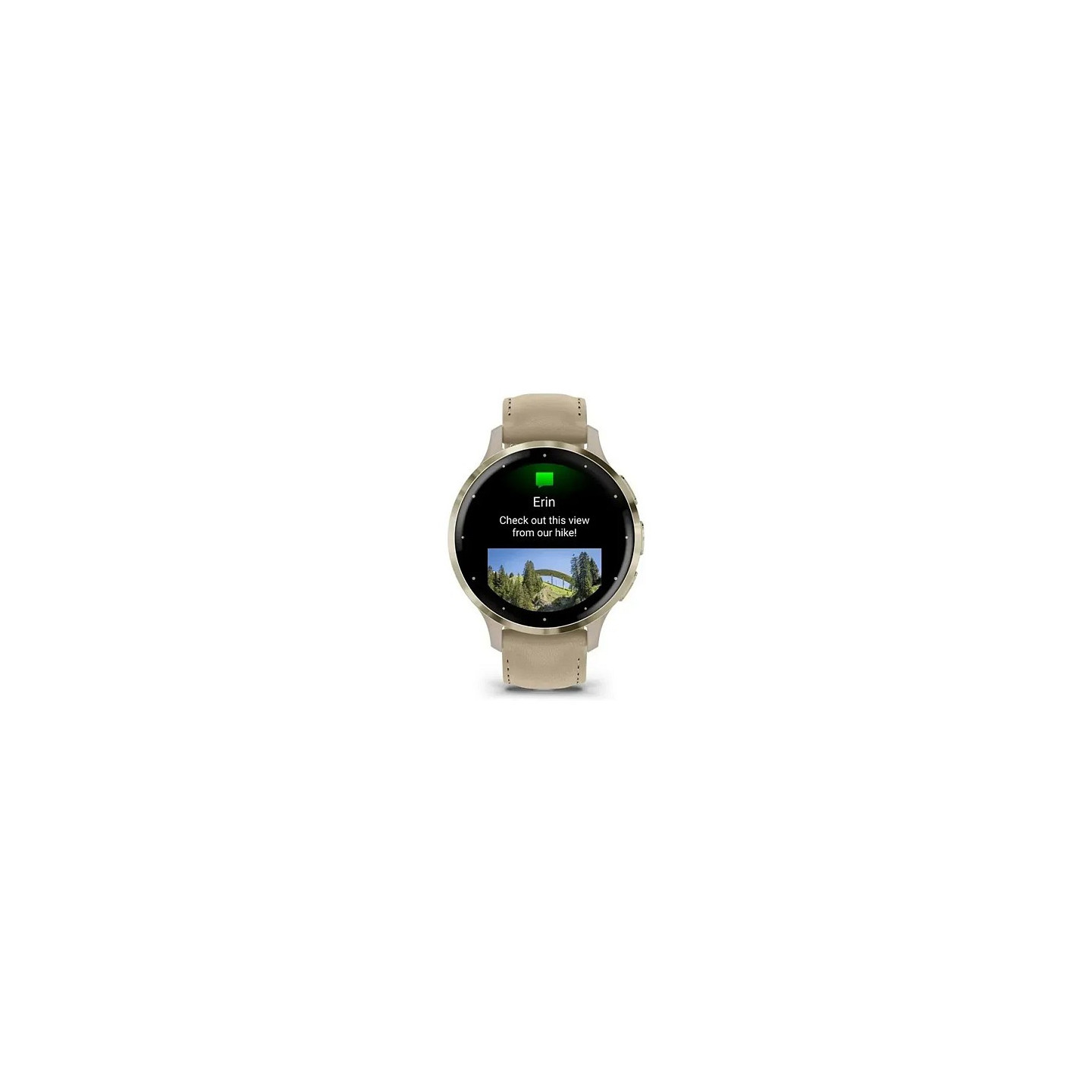 Garmin Venu 3S 41mm french gray softgold — Buy in Cyprus with Fast Delivery