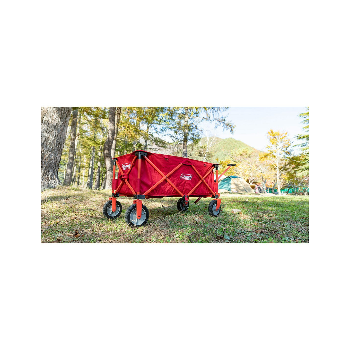 COLEMAN Camping Bollerwagen — Buy in Cyprus with Fast Delivery