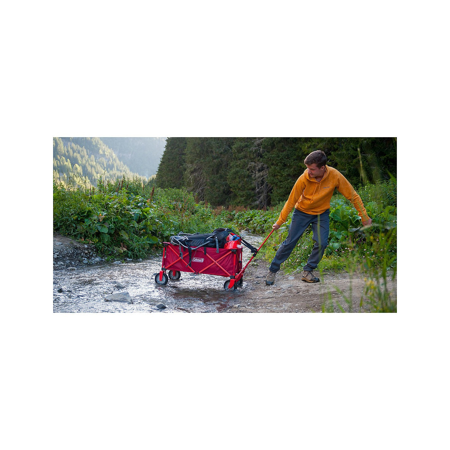 COLEMAN Camping Bollerwagen — Buy in Cyprus with Fast Delivery