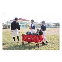 COLEMAN Camping Bollerwagen — Buy in Cyprus with Fast Delivery